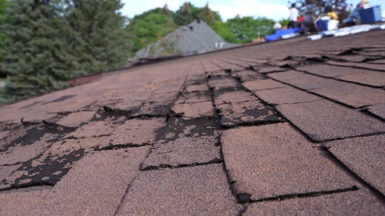 Best Emergency Roof Repair Services  in Kotzebue, AK